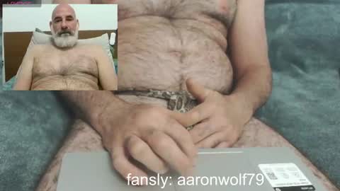 WhiteWolfFL online show from October 12, 2:55 pm