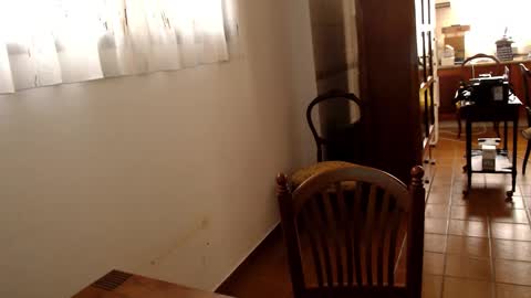 spanish online show from February 9, 11:36 am