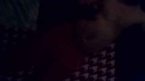 sparkyspeedway online show from March 17, 2:37 am