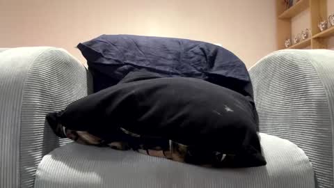 Dany online show from March 2, 3:45 am