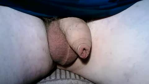 splitter60 online show from February 14, 4:57 pm