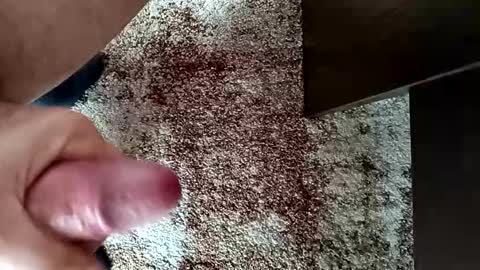 sprayx online show from December 20, 9:49 am