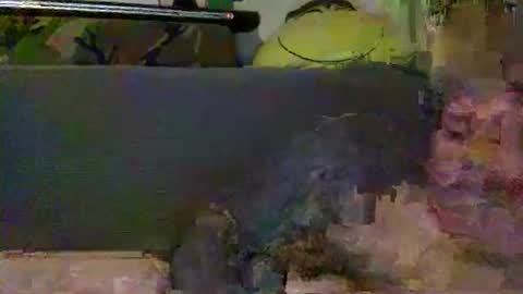 srekos38 online show from February 28, 12:54 am