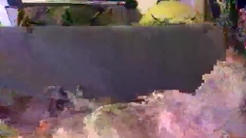 srekos38 online show from September 16, 1:28 am