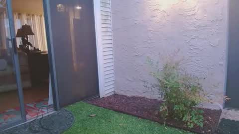 srtxshow online show from April 4, 12:02 pm