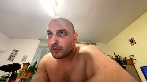 sta13 online show from December 5, 11:01 pm