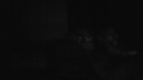 stephan6078 online show from January 22, 5:26 am
