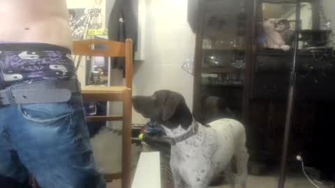 Str8 online show from December 30, 6:38 pm