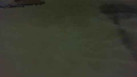 stratocatster online show from January 11, 4:46 pm