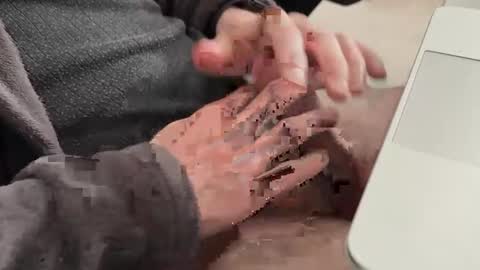 CuriousStudentBi online show from October 20, 1:26 pm