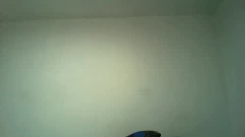 suaber_ online show from September 23, 11:37 pm