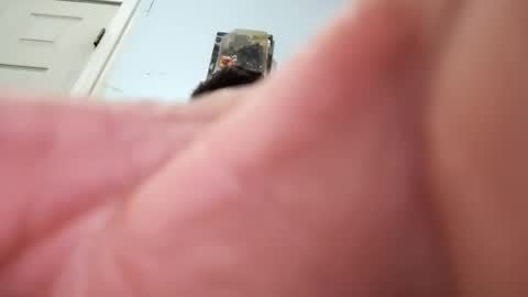 Snapshot of sugarbearthornwood74 chatting on December 8, 10:30 am Sugarbearthornwood74 online show from December 8, 10:30 am