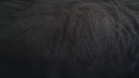 s online show from September 12, 2:06 pm