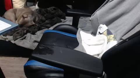 sweetgesus online show from November 6, 3:59 pm