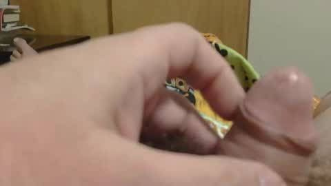 SweetRevenge online show from December 19, 9:34 pm