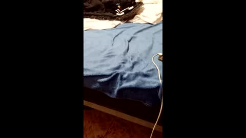 Taitotoito online show from January 16, 2:03 am