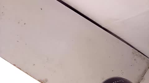 tall6feet7inch online show from February 22, 2:24 am