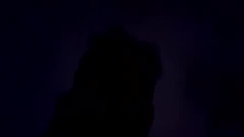 talxhd online show from December 31, 8:26 am