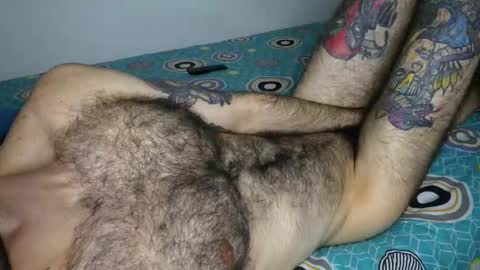 Taylor online show from February 3, 6:40 am