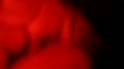 tckgbjibsouc online show from July 6, 3:25 am