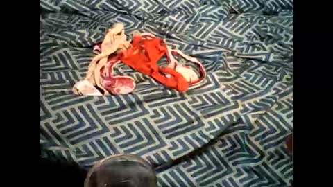 tekitoit7 online show from November 16, 3:58 pm