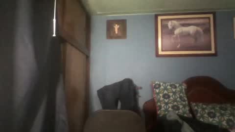 Snapshot of tender_eldelatienda chatting on January 22, 2:37 am Fabio Canavaro online show from January 22, 2:37 am