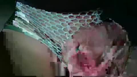 texan2020 online show from February 7, 3:24 am