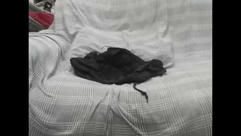 Thales online show from November 7, 12:19 pm