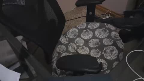 The Bear King online show from December 14, 8:02 am