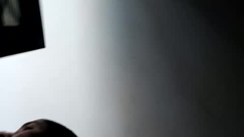 thehousedog online show from October 22, 3:27 pm