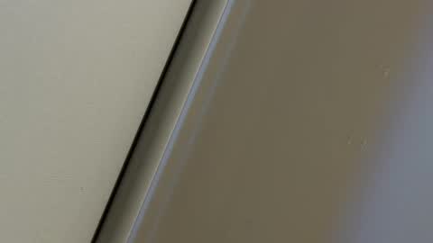 therealdylansdick online show from October 14, 3:35 am