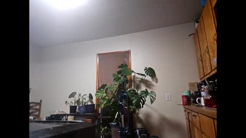 therizzler_1_of_1 online show from February 6, 6:10 am