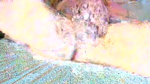 thetightestass14 online show from February 25, 10:47 am