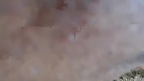 thetightestass14 online show from January 7, 12:03 am