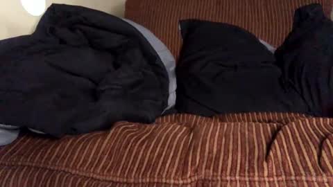 Mr. Perfect Dick online show from November 13, 4:55 pm