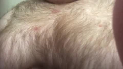 thunderbird2696 online show from January 12, 3:16 pm