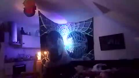 tigertrance online show from December 2, 12:47 am