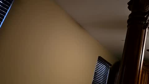 tnvauto online show from November 1, 11:25 am