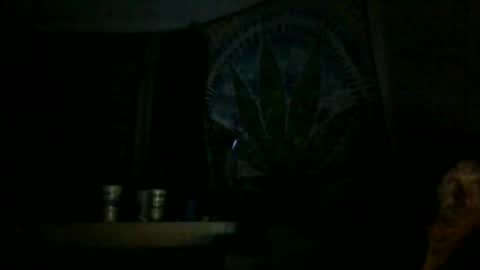 Toaster843 online show from March 3, 6:35 am