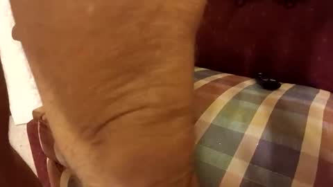 toddintexas online show from January 29, 8:51 am