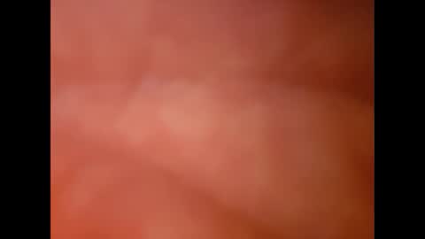 tomgore22 online show from February 4, 2:49 am