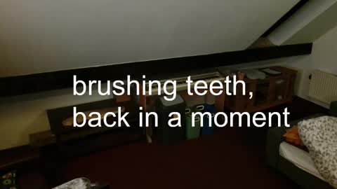 tomtimon11 online show from November 6, 5:05 pm