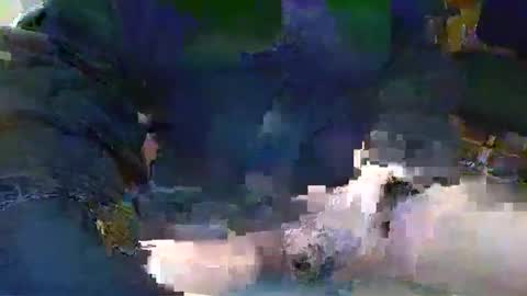 Topcat127 online show from February 16, 6:54 am