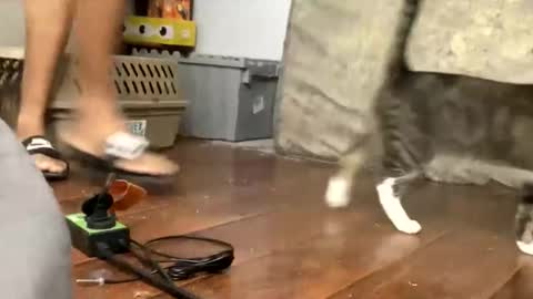 TopTierDrippa online show from March 3, 12:12 pm