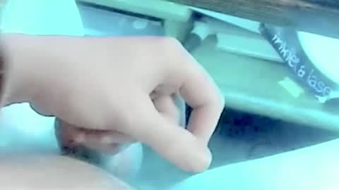 tornne online show from February 1, 2:49 pm