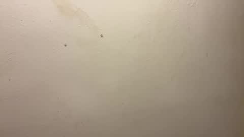 toronto5656 online show from February 14, 1:51 pm