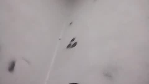 torresabel762 online show from February 21, 11:39 pm