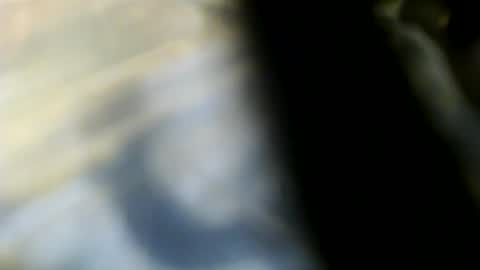 trailblazer1969 online show from June 7, 6:37 pm