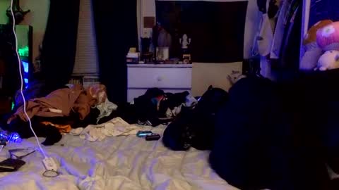 transcurious101 online show from September 30, 3:23 am