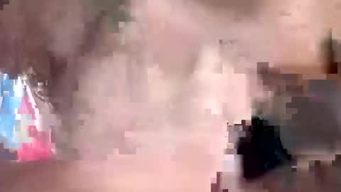 treeguyroc online show from March 6, 1:08 pm